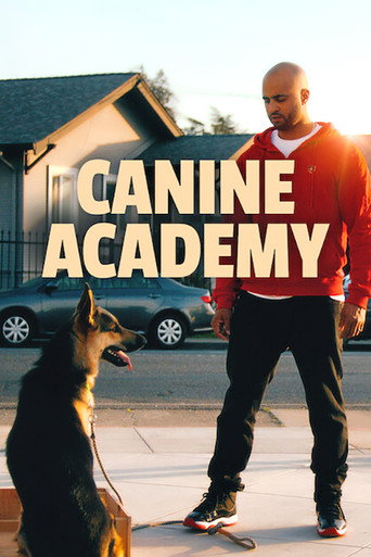 Regarder Canine Academy - Saison 1 en streaming complet