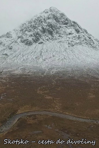 Regarder Ecosse, la quête du sauvage en streaming complet